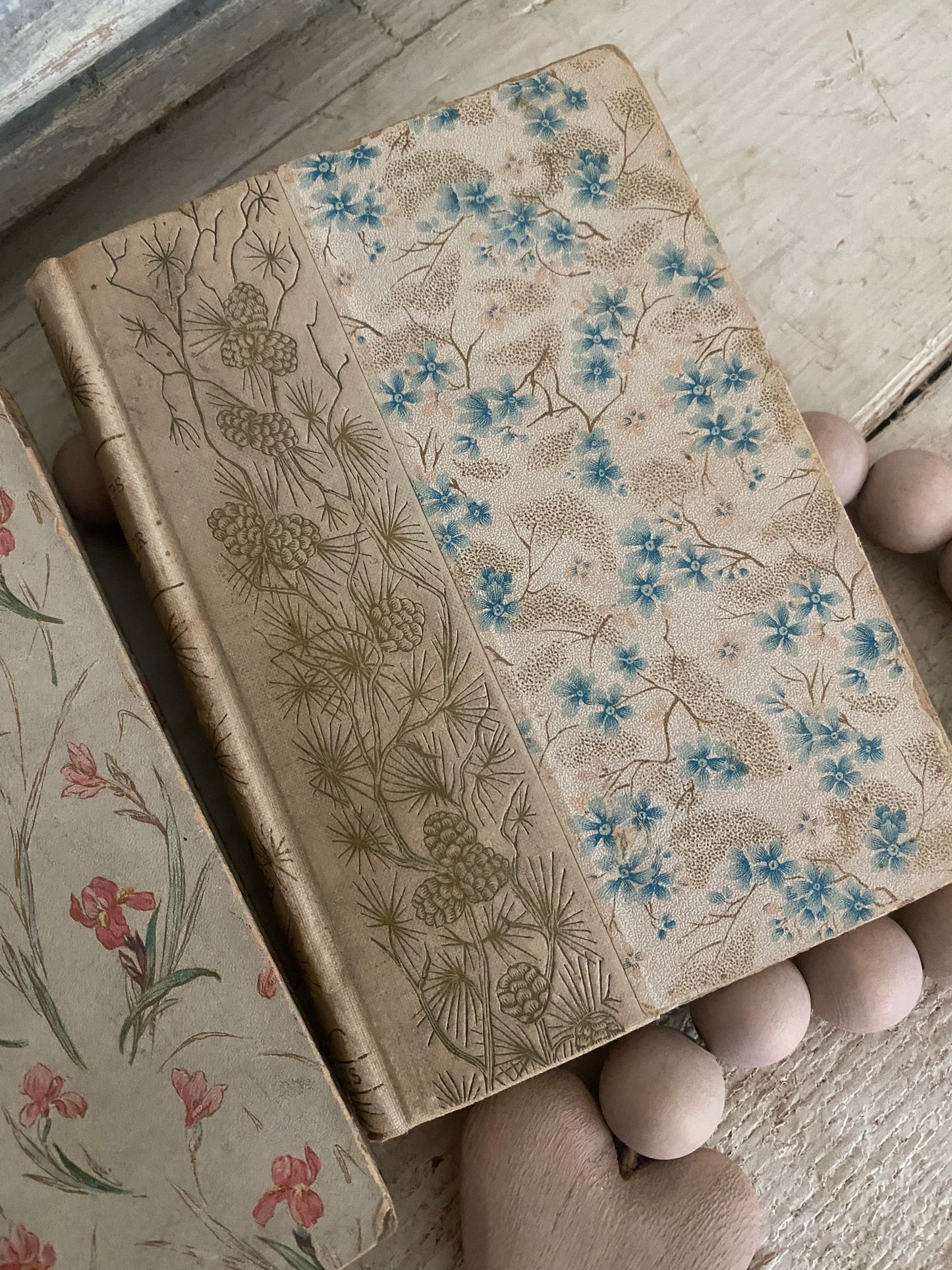 Pair Antique Decorative Books Gilt Blue Pink Flowers