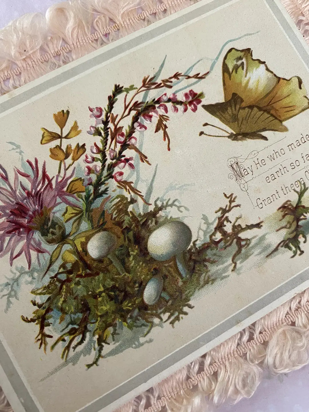 Antique Postcard Pastel Floral Butterfly Pink Silk Trim