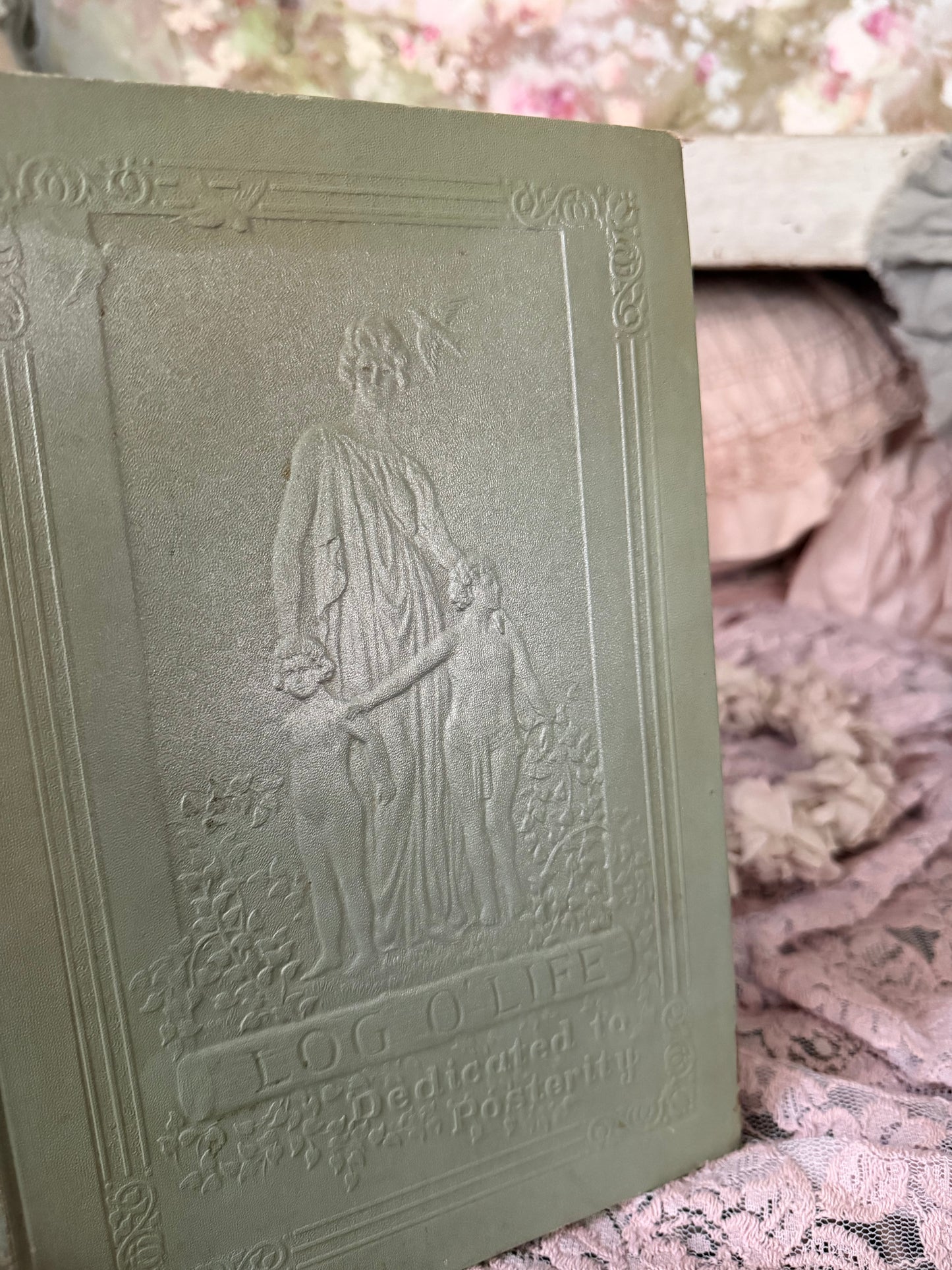 Antique Book Log Of Life