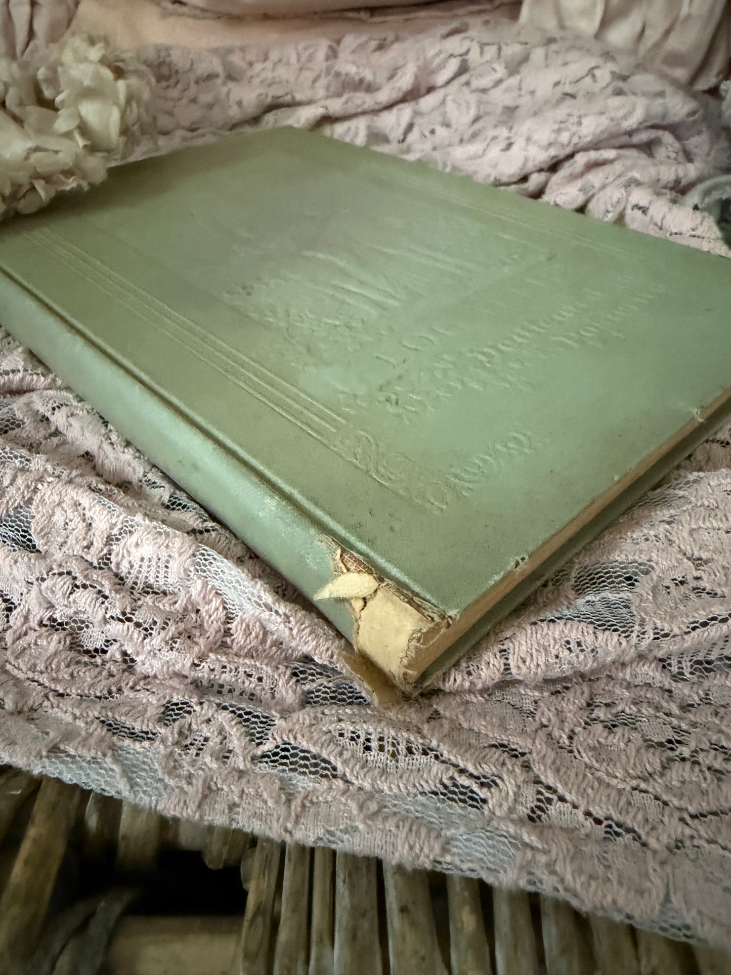 Antique Book Log Of Life