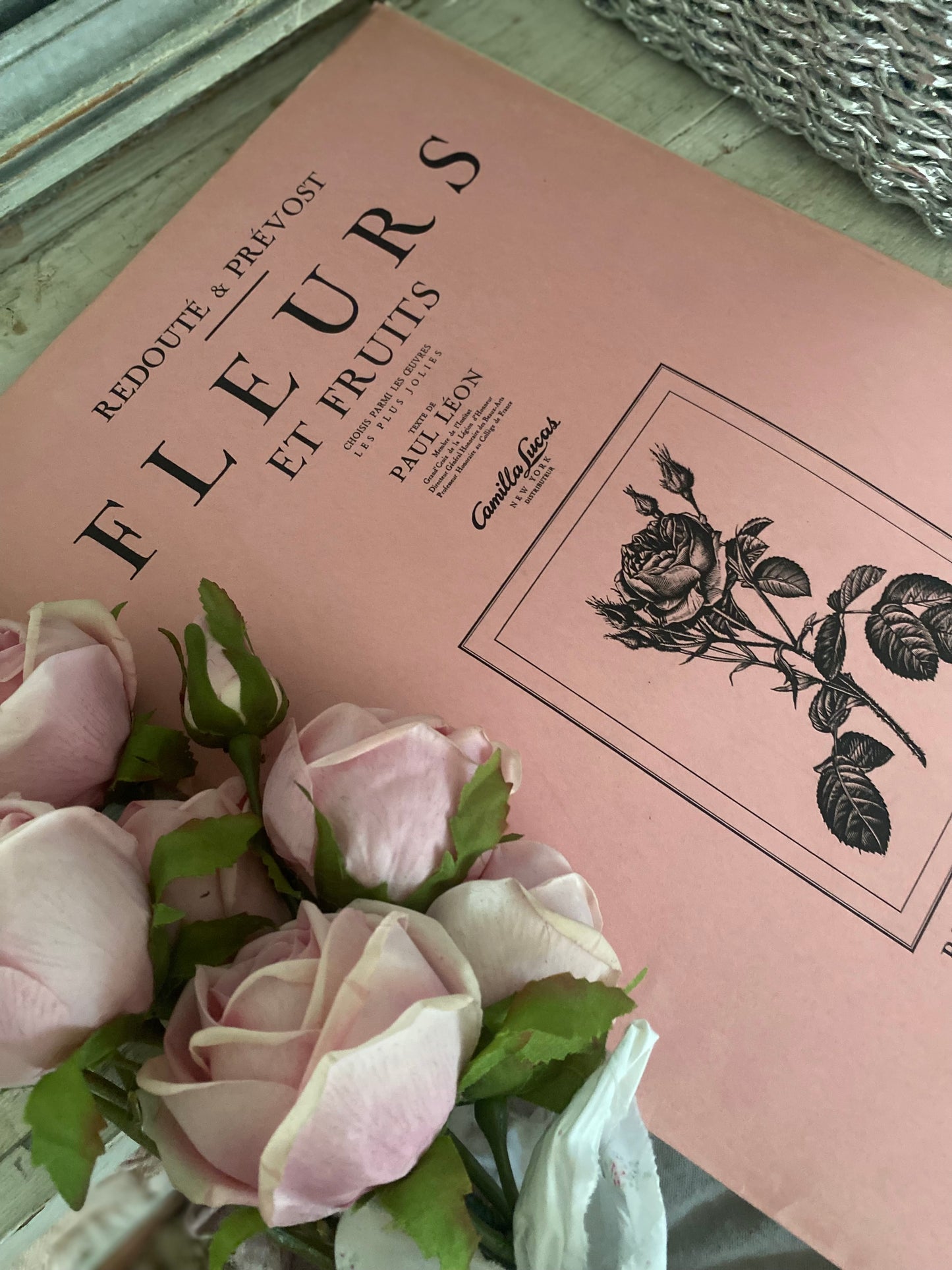 Antique French Pink Rose "Fleurs et Fruits" Portfolio of 12 Etchings