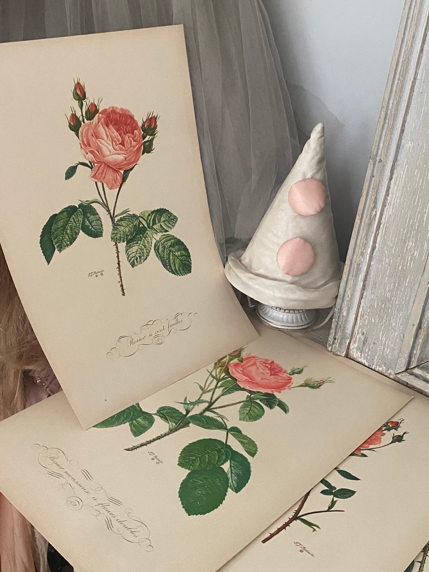 Antique French Pink Rose "Fleurs et Fruits" Portfolio of 12 Etchings