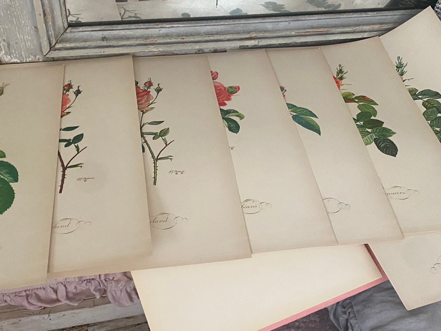 Antique French Pink Rose "Fleurs et Fruits" Portfolio of 12 Etchings