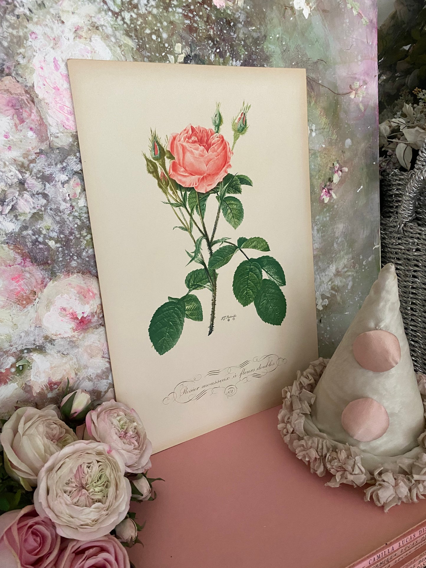 Antique French Pink Rose Etching Fleurs No.2