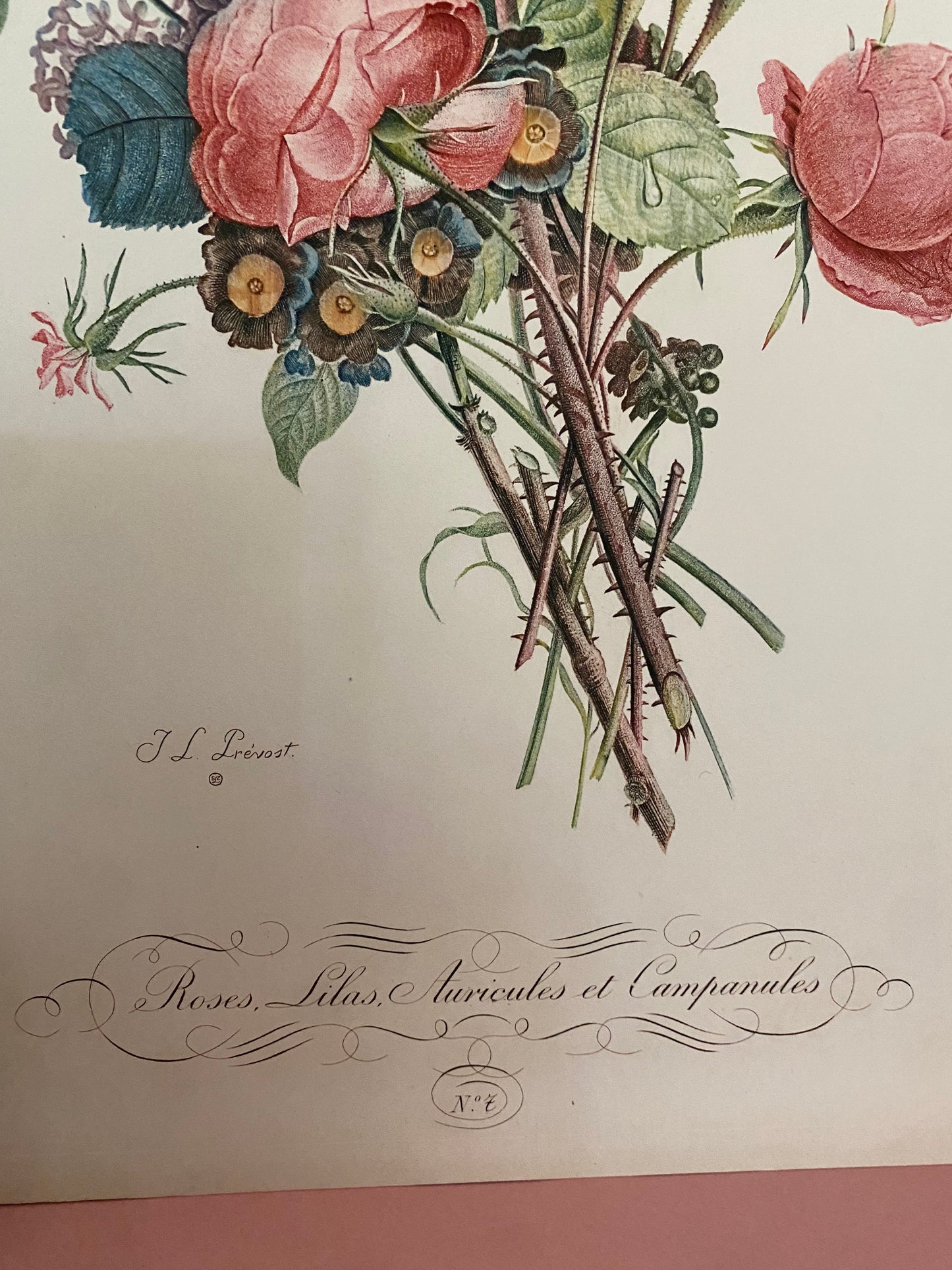 Antique French Pink Rose Bouquet Etching Fleurs No.7