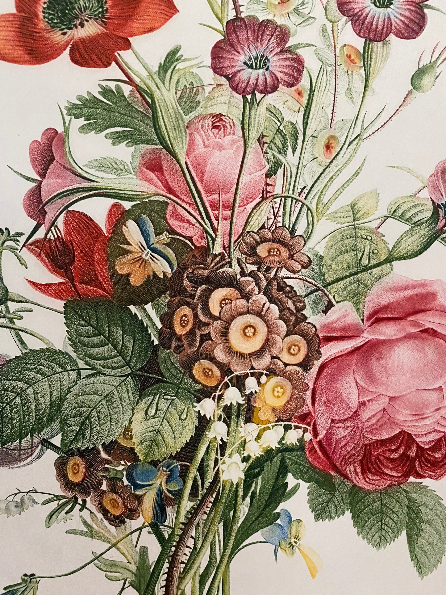 Antique French Pink Rose Bouquet Etching Fleurs No.8