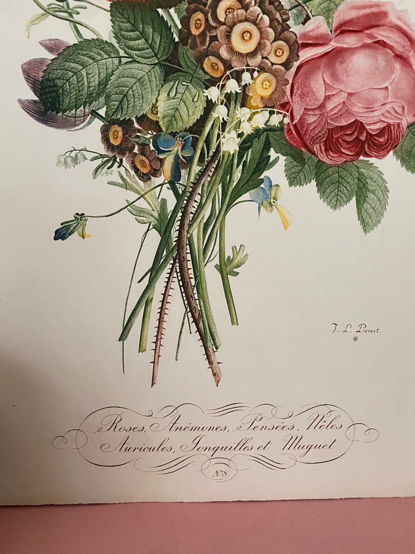 Antique French Pink Rose Bouquet Etching Fleurs No.8