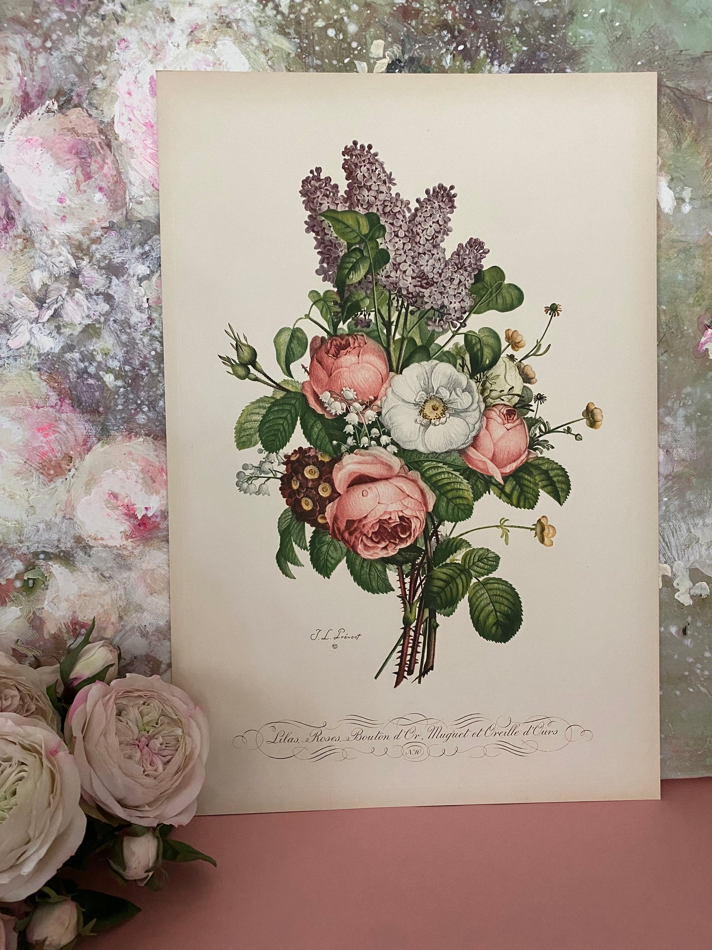 Antique French Pink Rose "Fleurs et Fruits" Portfolio of 12 Etchings