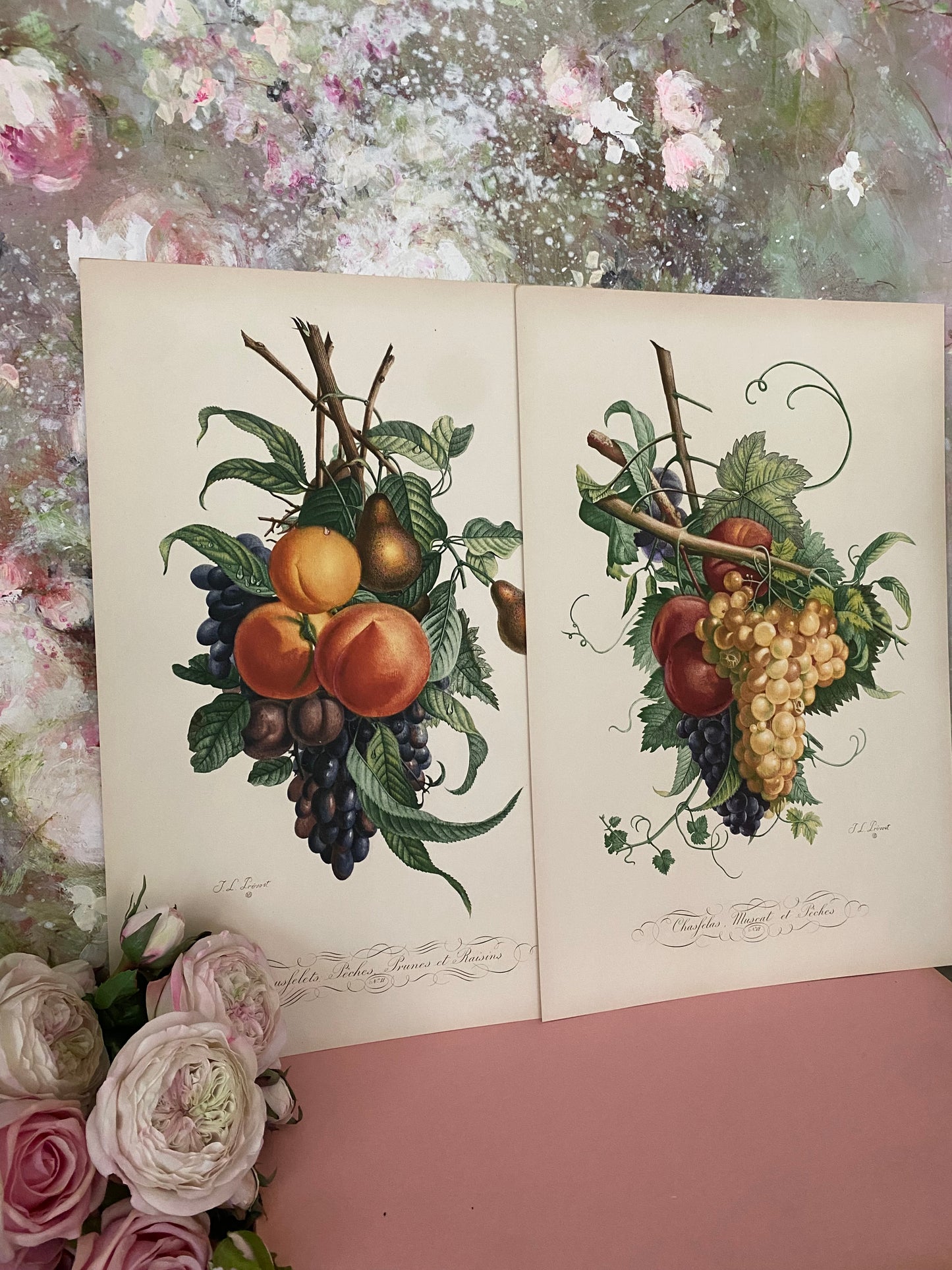 Pair Antique French Fruit Bouquet Etching Fleurs No.11 & No.12