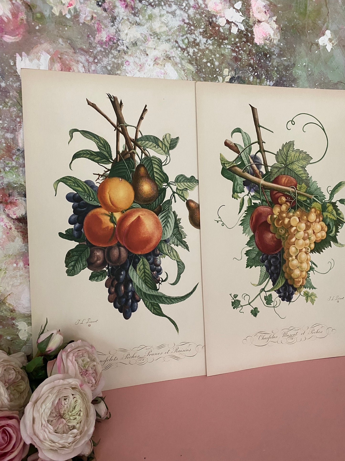 Pair Antique French Fruit Bouquet Etching Fleurs No.11 & No.12