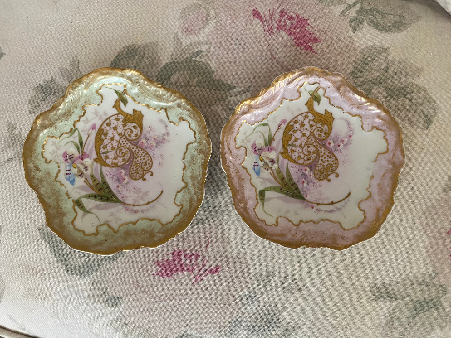Pair Antique Painted Limoges French Plates