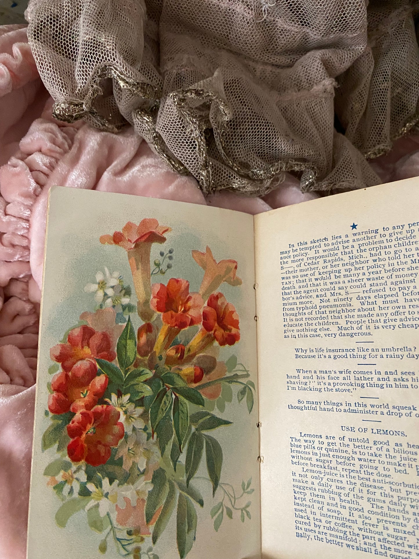Antique Advertising Booklet