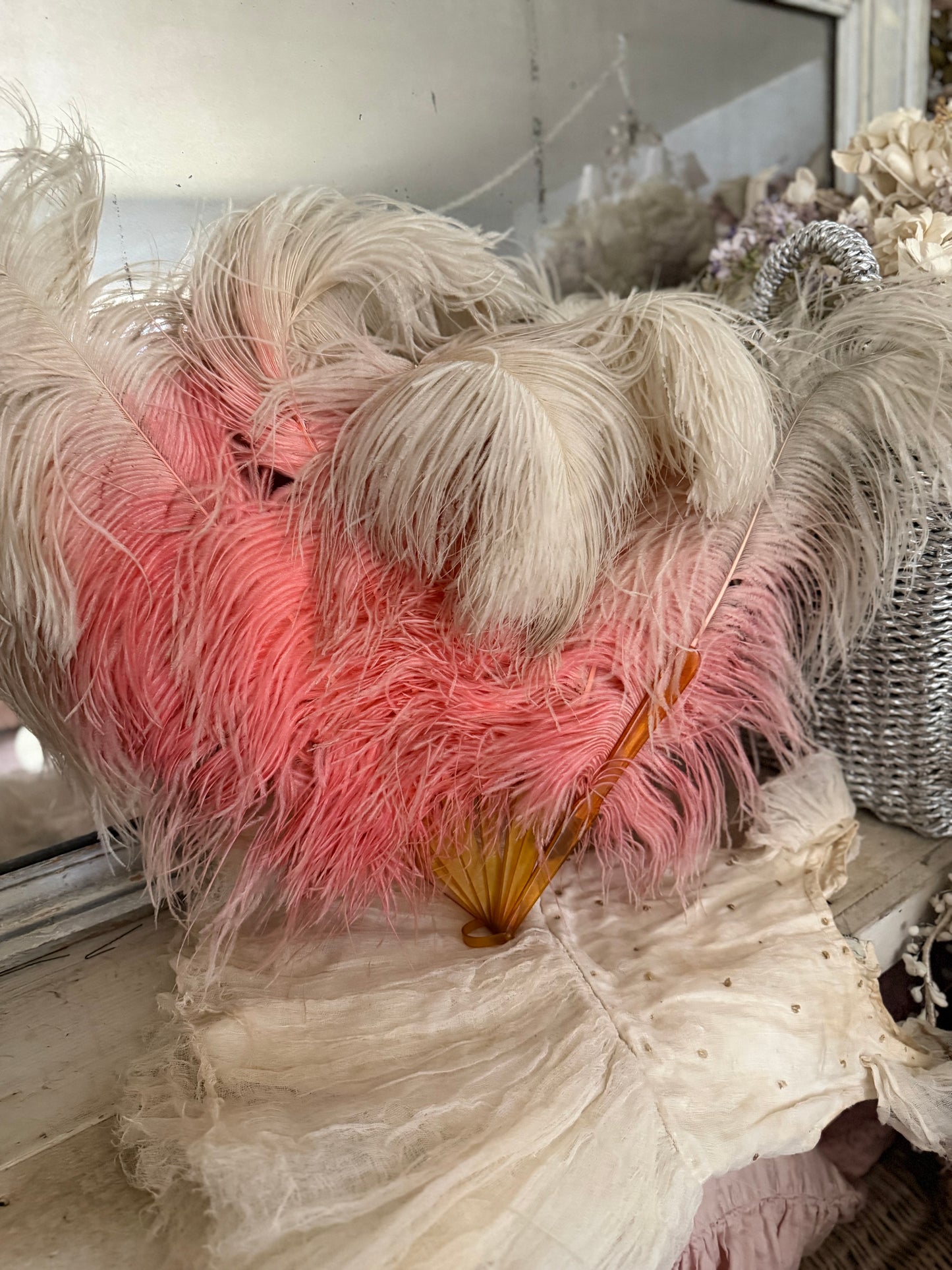 XL Antique Pink Ombre Ostrich Feather Fan