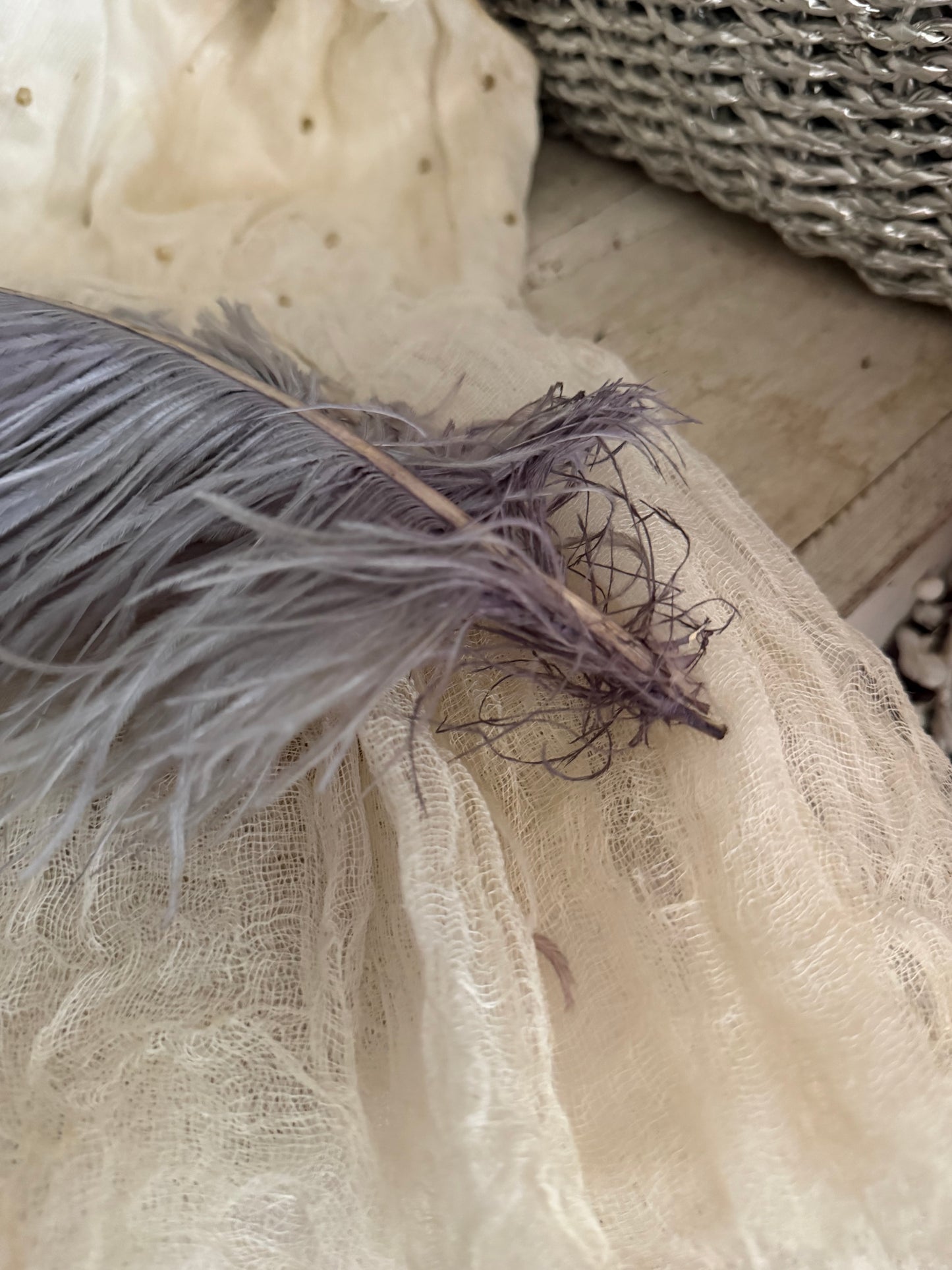 Antique Victorian Ostrich Feather Plume