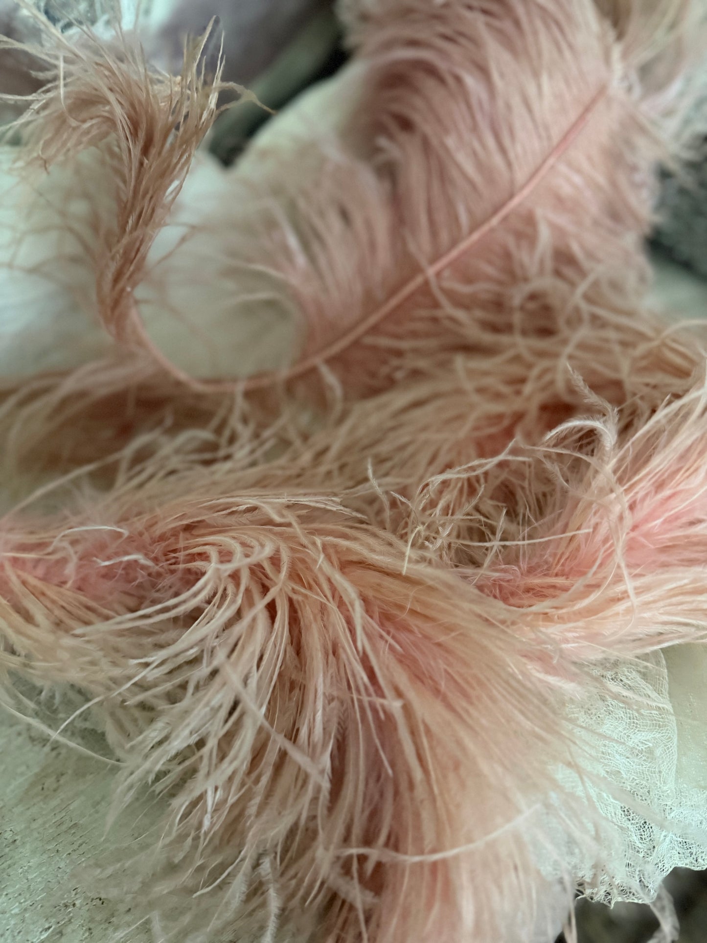 Antique Victorian Pink Ostrich Feather Millinery