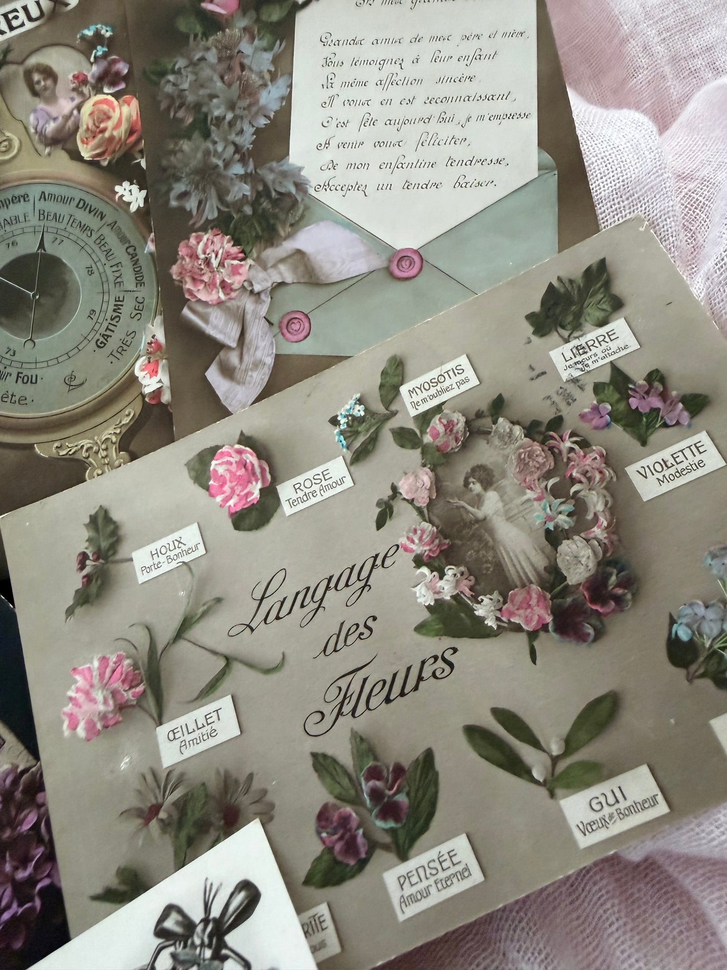Antique Collection French Postcards Beautiful Floral Flowers