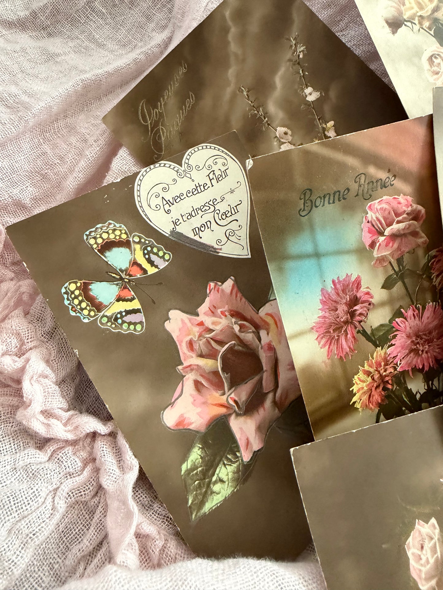 Antique Collection French Postcards Beautiful Floral Flowers