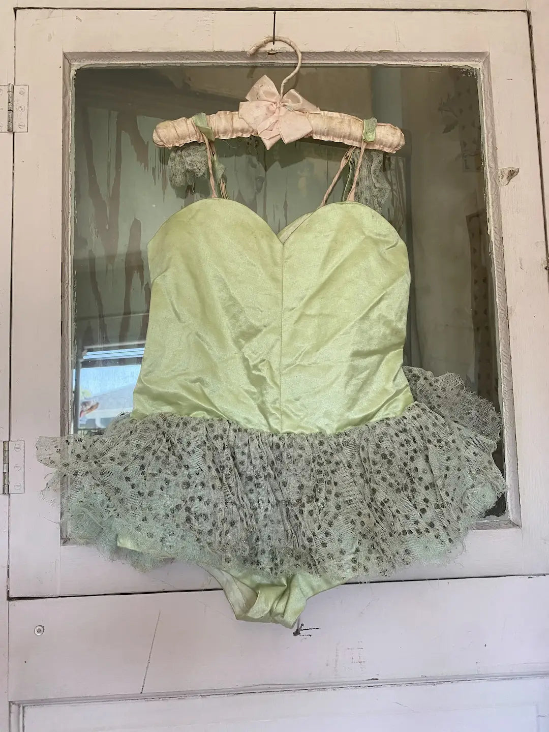 Amazing Vintage Ballet Tutu Costume