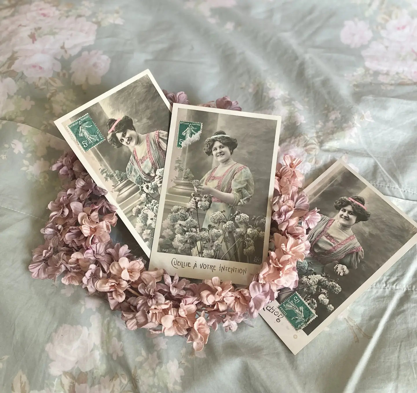 Collection Antique French Postcards Pink Dress Bodice Hydrangeas