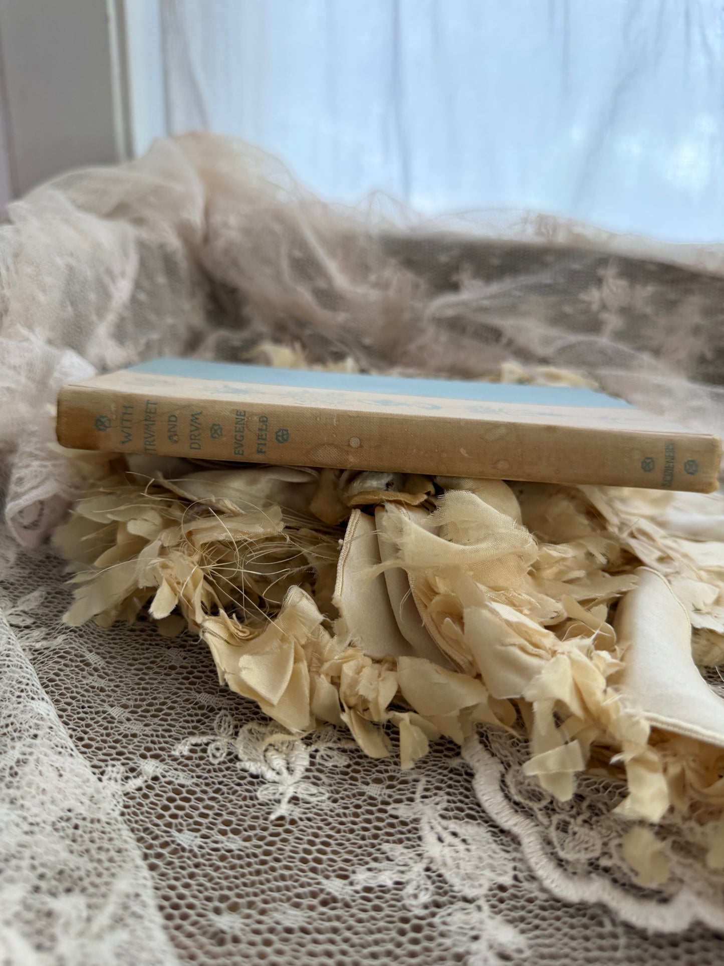 Antique Shabby Chic Blue Book
