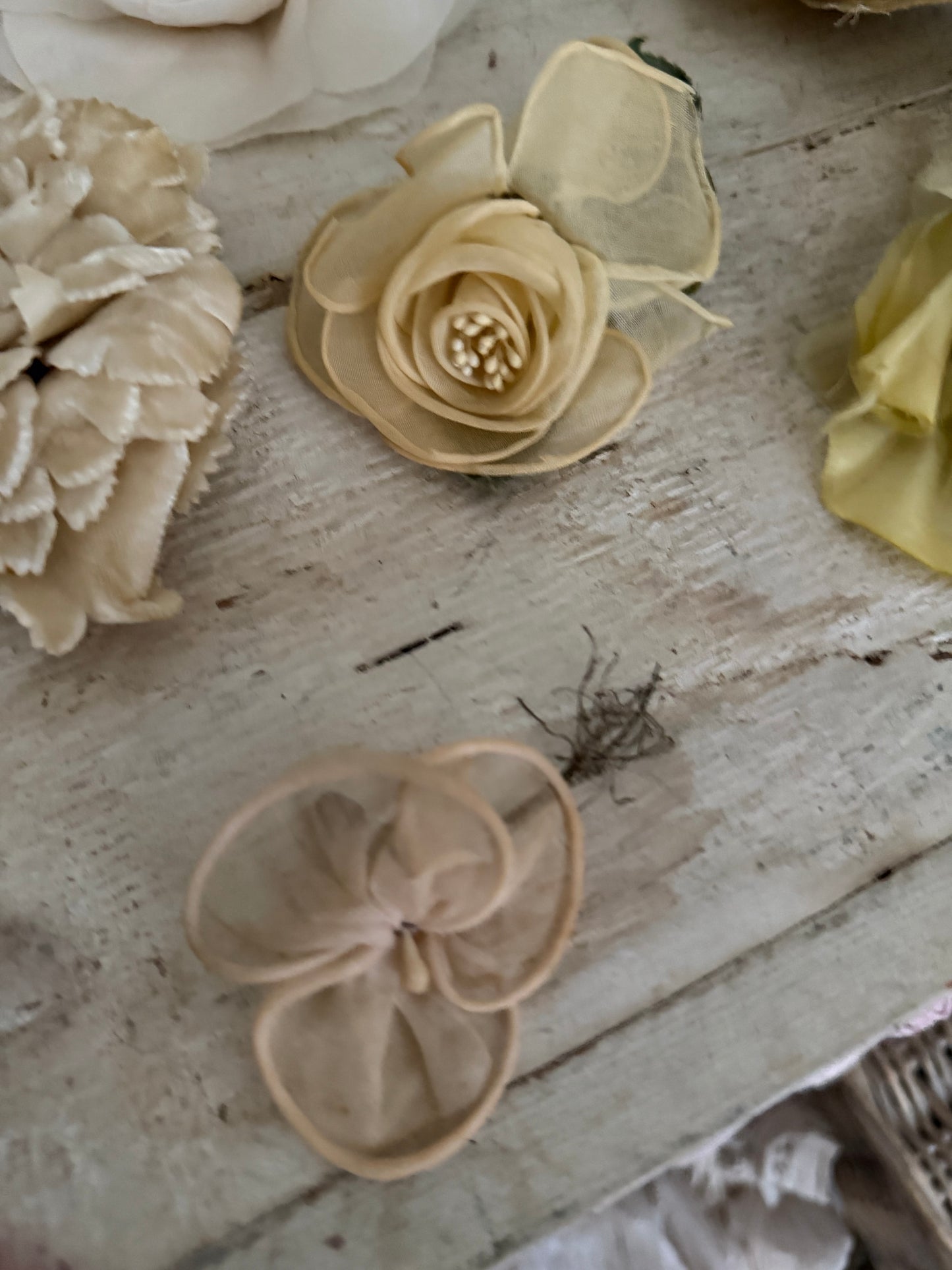 Collection Antique Vintage Millinery Flowers Yellow