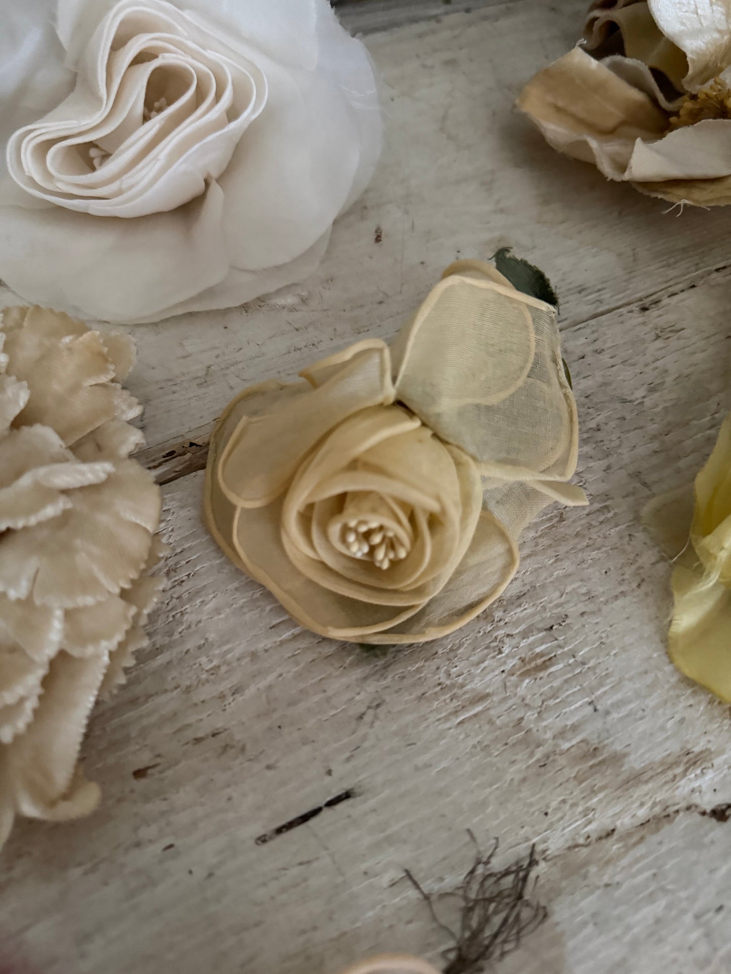 Collection Antique Vintage Millinery Flowers Yellow