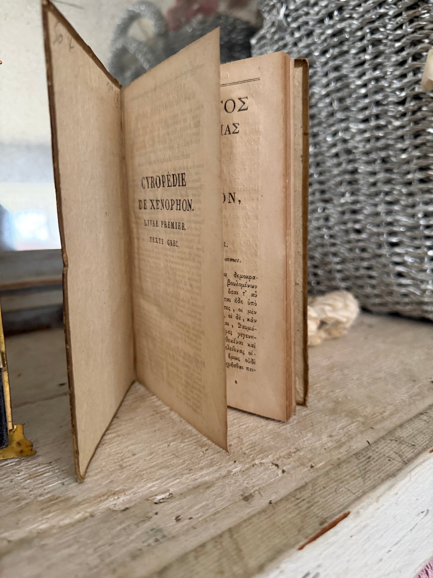 Antique Victorian Framed Photo & Book