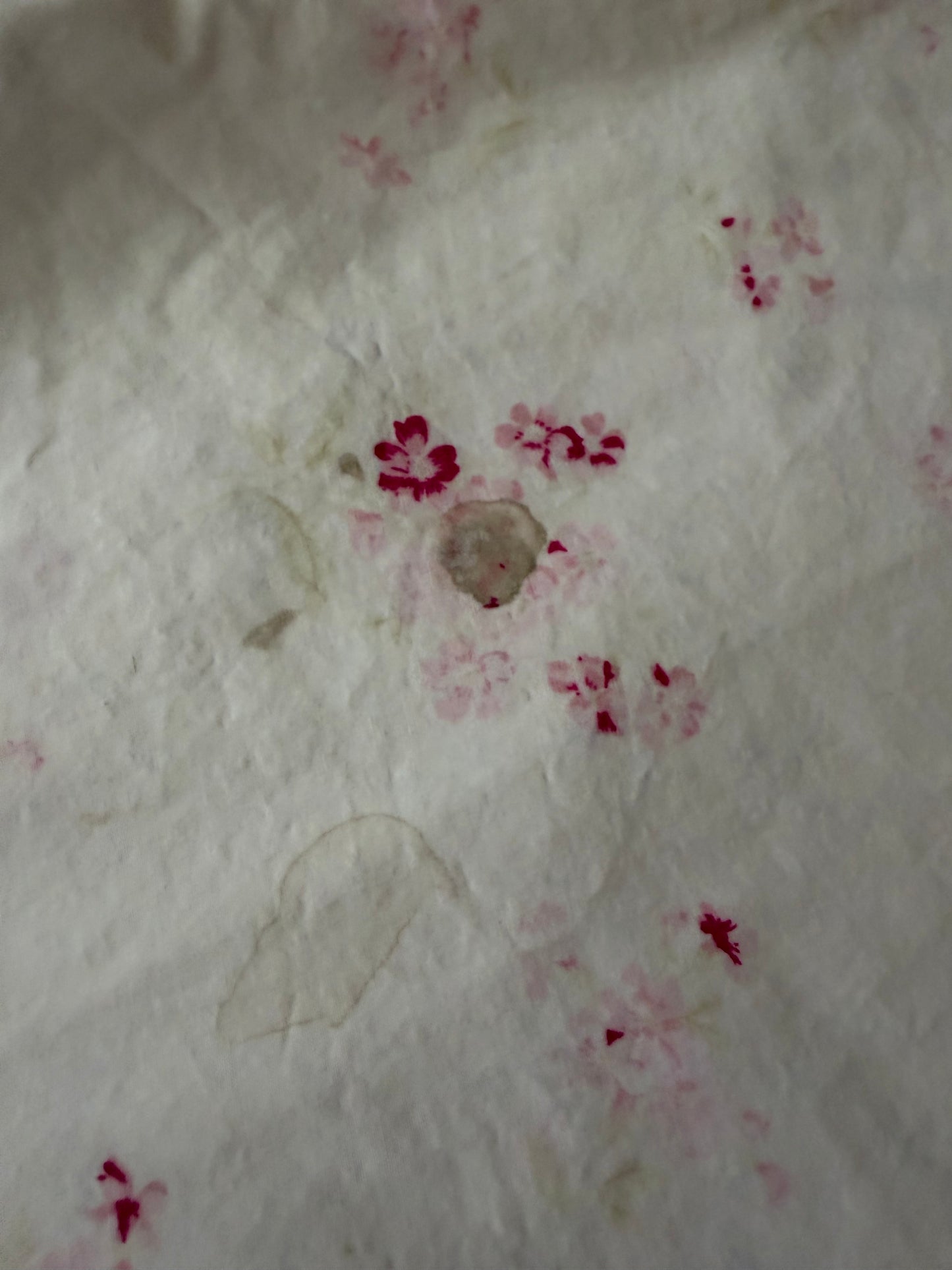 RASSC Rachel Ashwell Ditsy Floral Pink Cal King Sheet