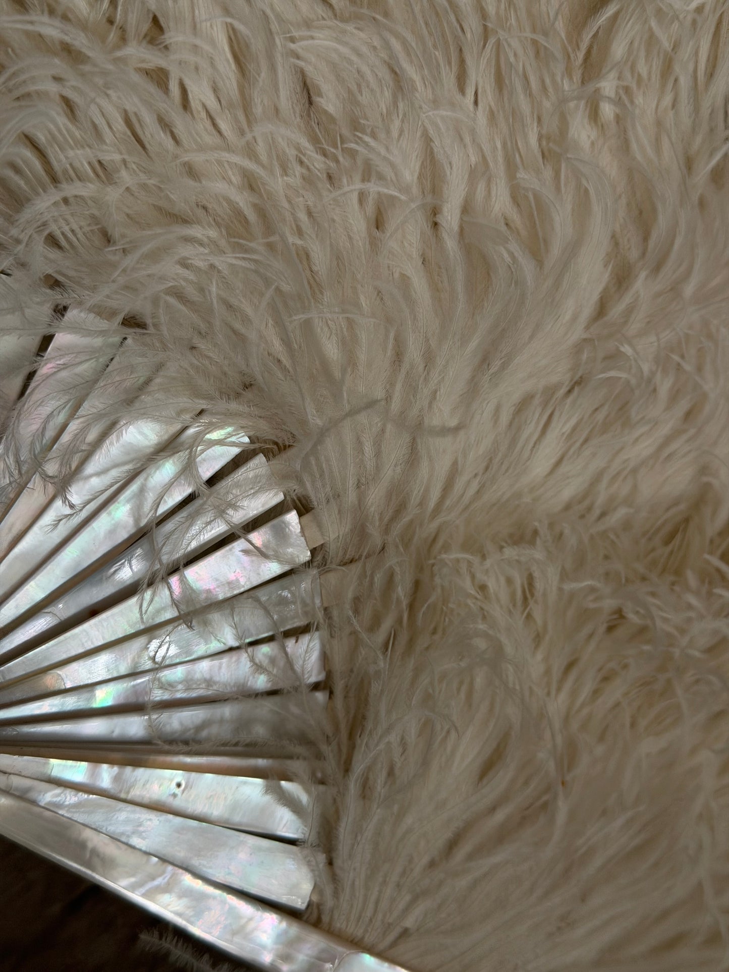 Antique Victorian White Feather Mother of Pearl Fan