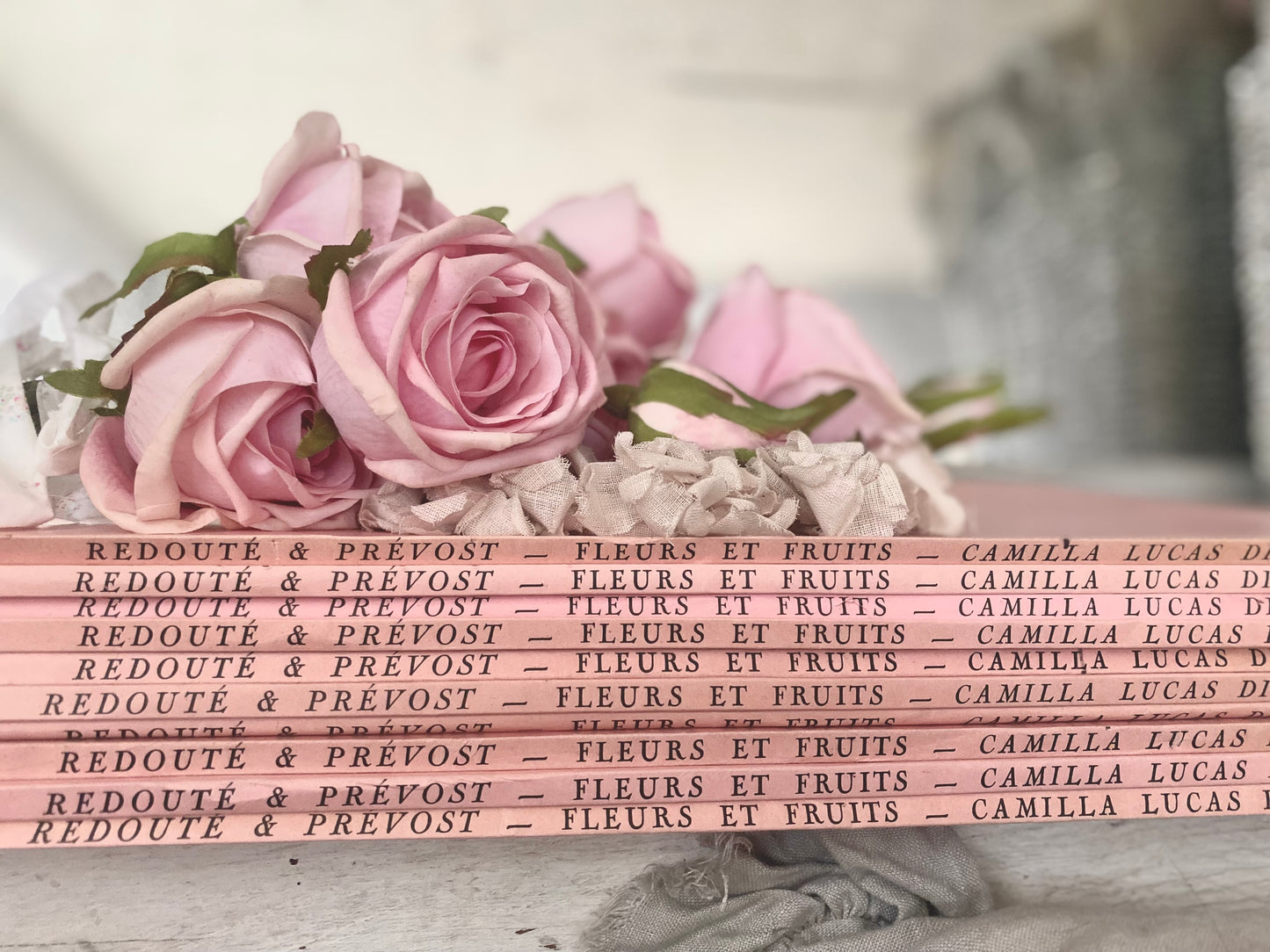Antique French Pink Rose "Fleurs et Fruits" Portfolio of 12 Etchings