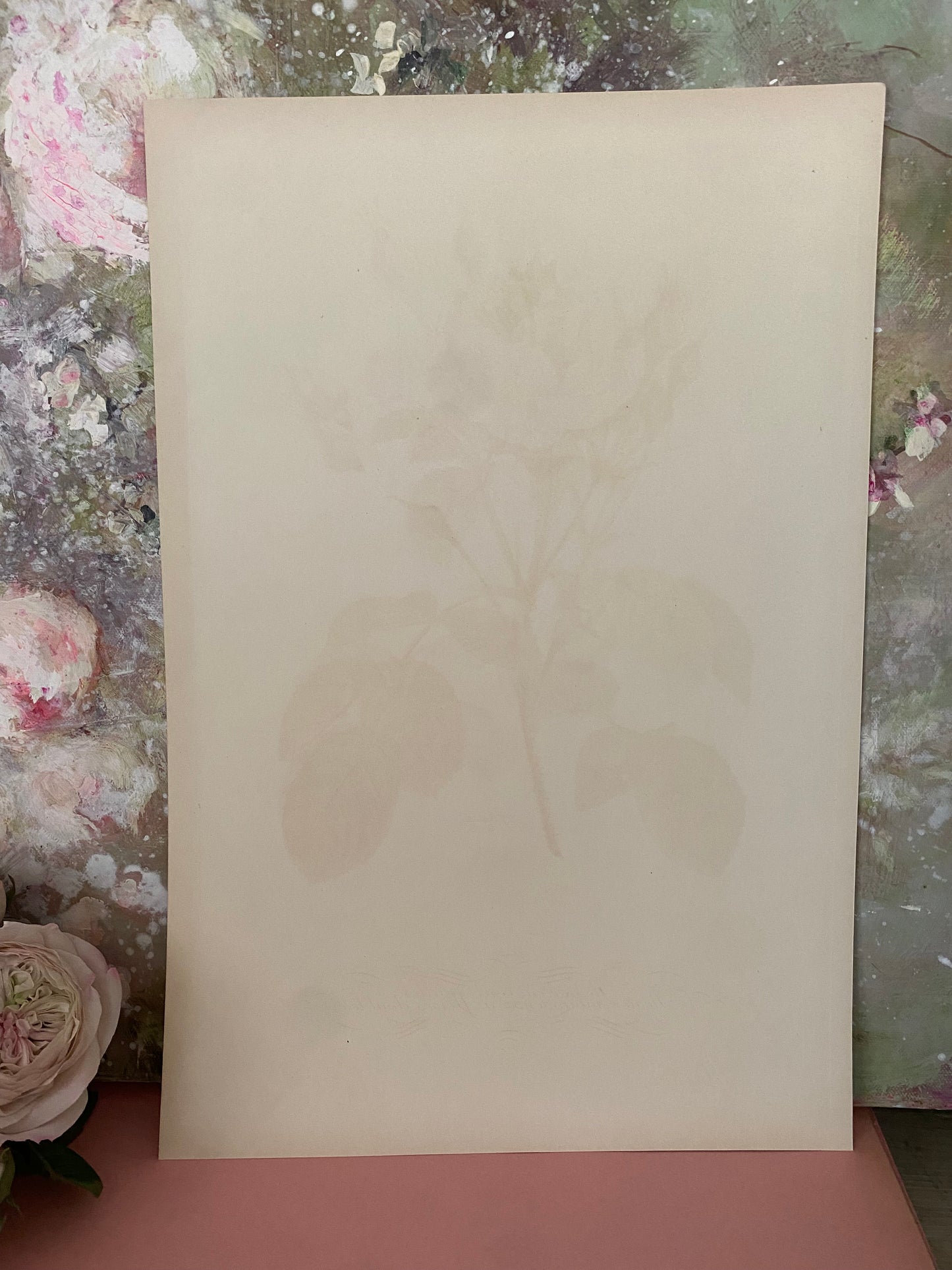 Antique French Pink Rose Etching Fleurs No.1