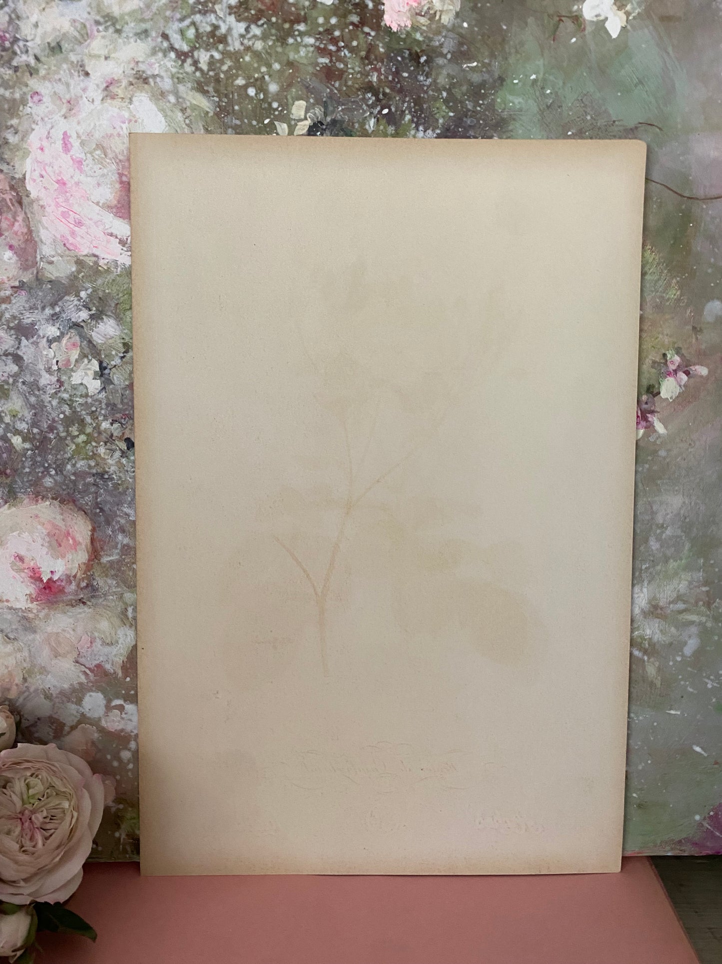 Antique French Pink Rose Etching Fleurs No.2