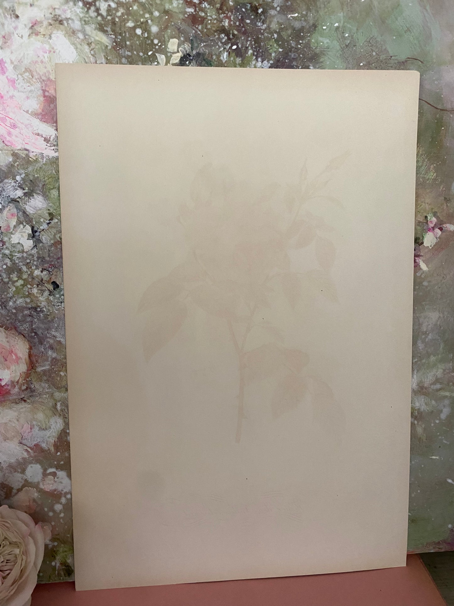 Antique French Pink Rose Etching Fleurs No.4