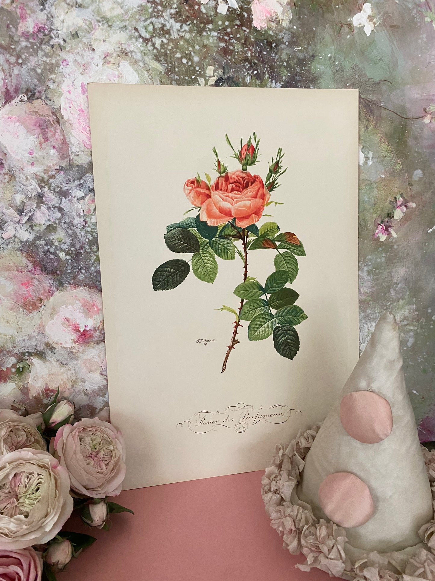 Antique French Pink Rose Etching Fleurs No.6