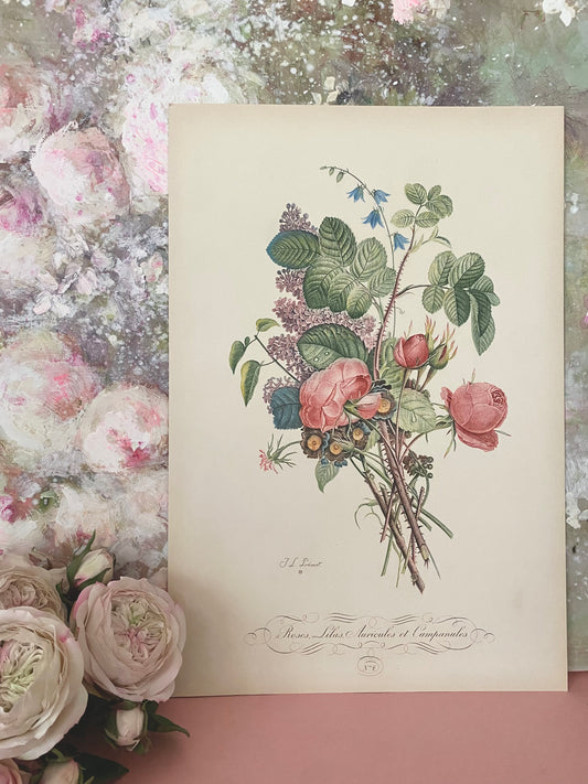Antique French Pink Rose Bouquet Etching Fleurs No.7