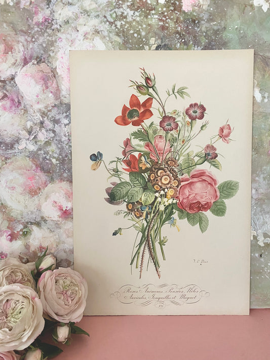 Antique French Pink Rose Bouquet Etching Fleurs No.8