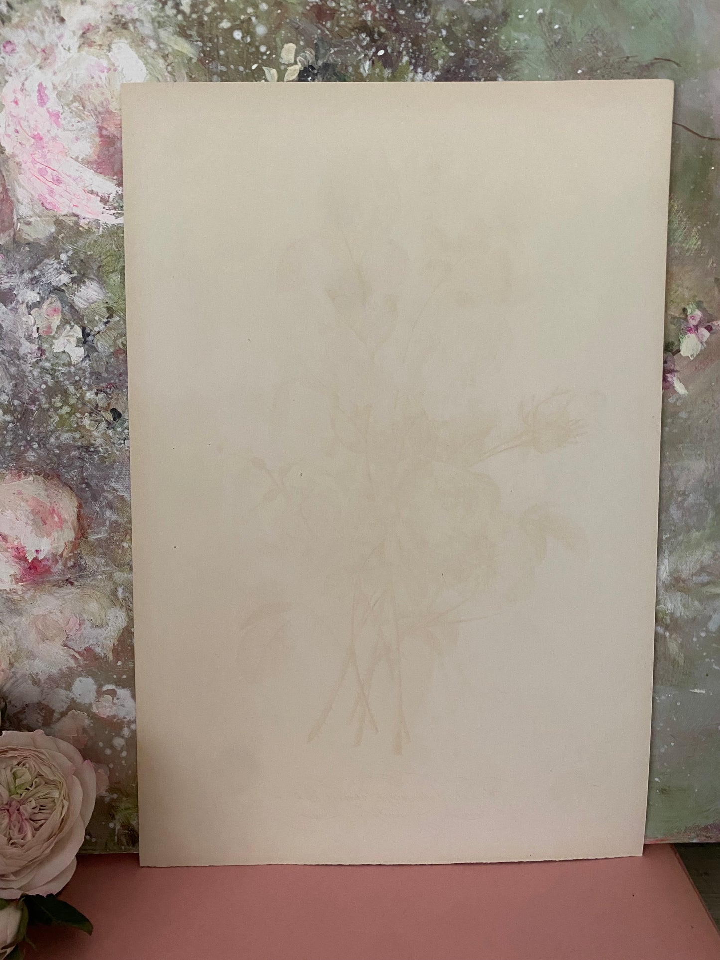 Antique French Pink Rose Bouquet Etching Fleurs No.8
