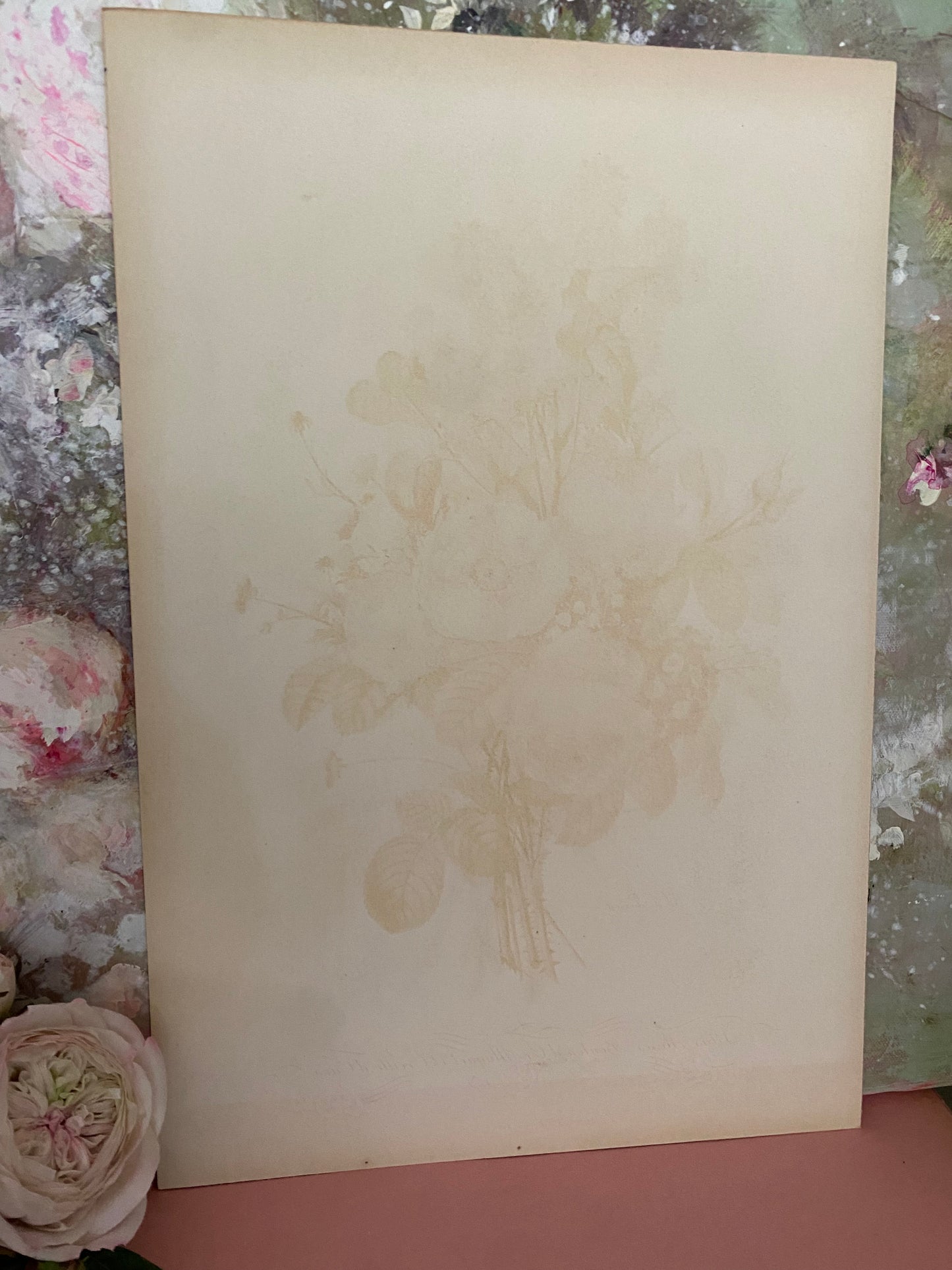 Antique French Pink Rose Lilac Bouquet Etching Fleurs No.10