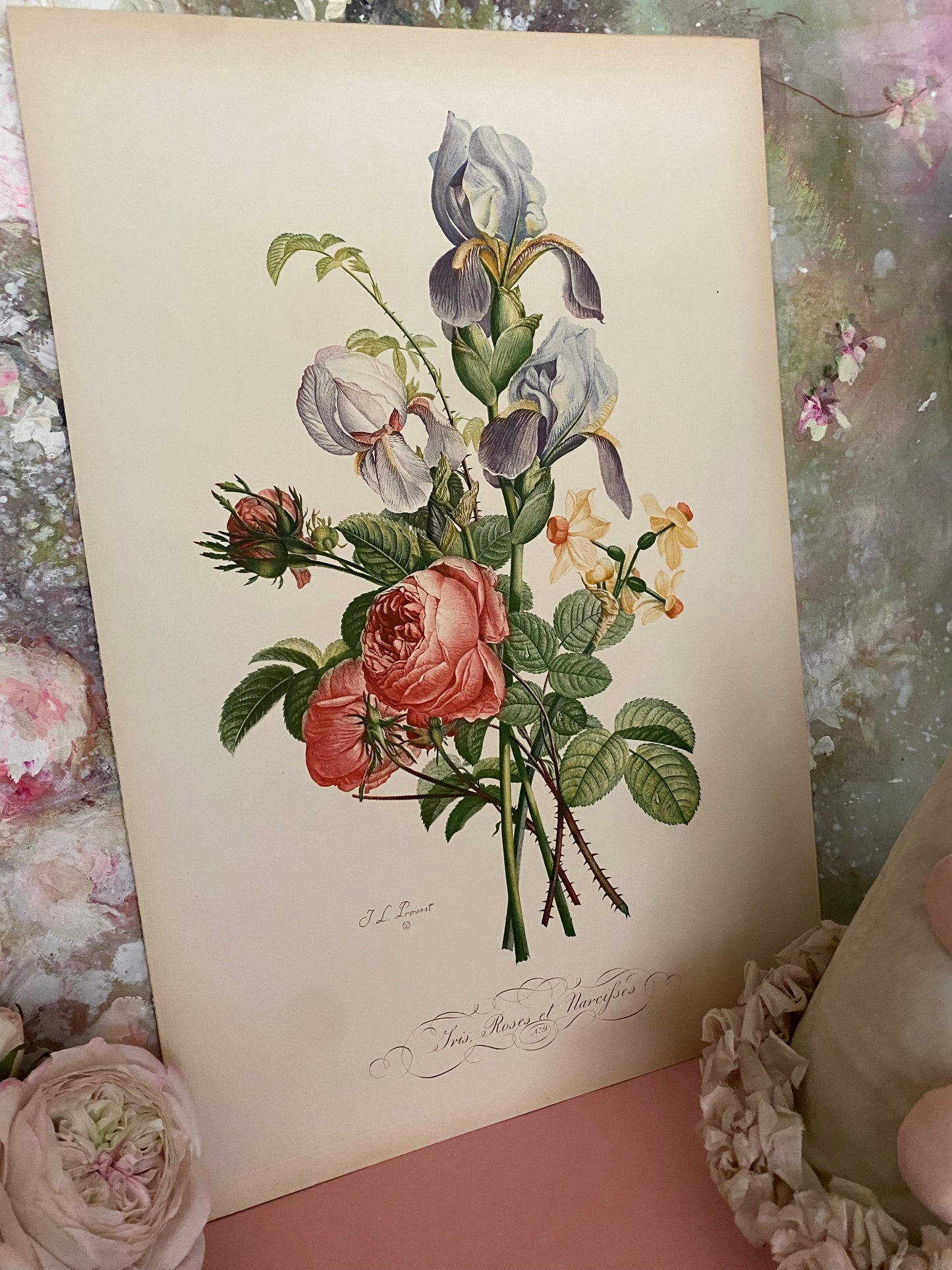 Antique French Pink Rose Iris Bouquet Etching Fleurs No.9