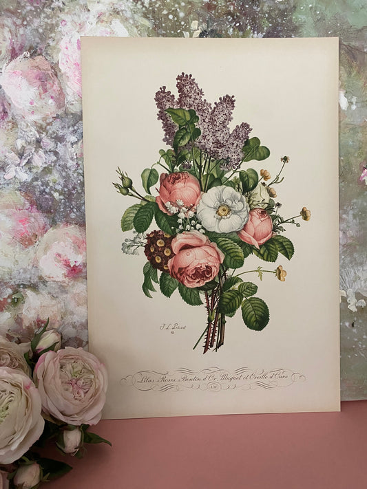 Antique French Pink Rose Lilac Bouquet Etching Fleurs No.10