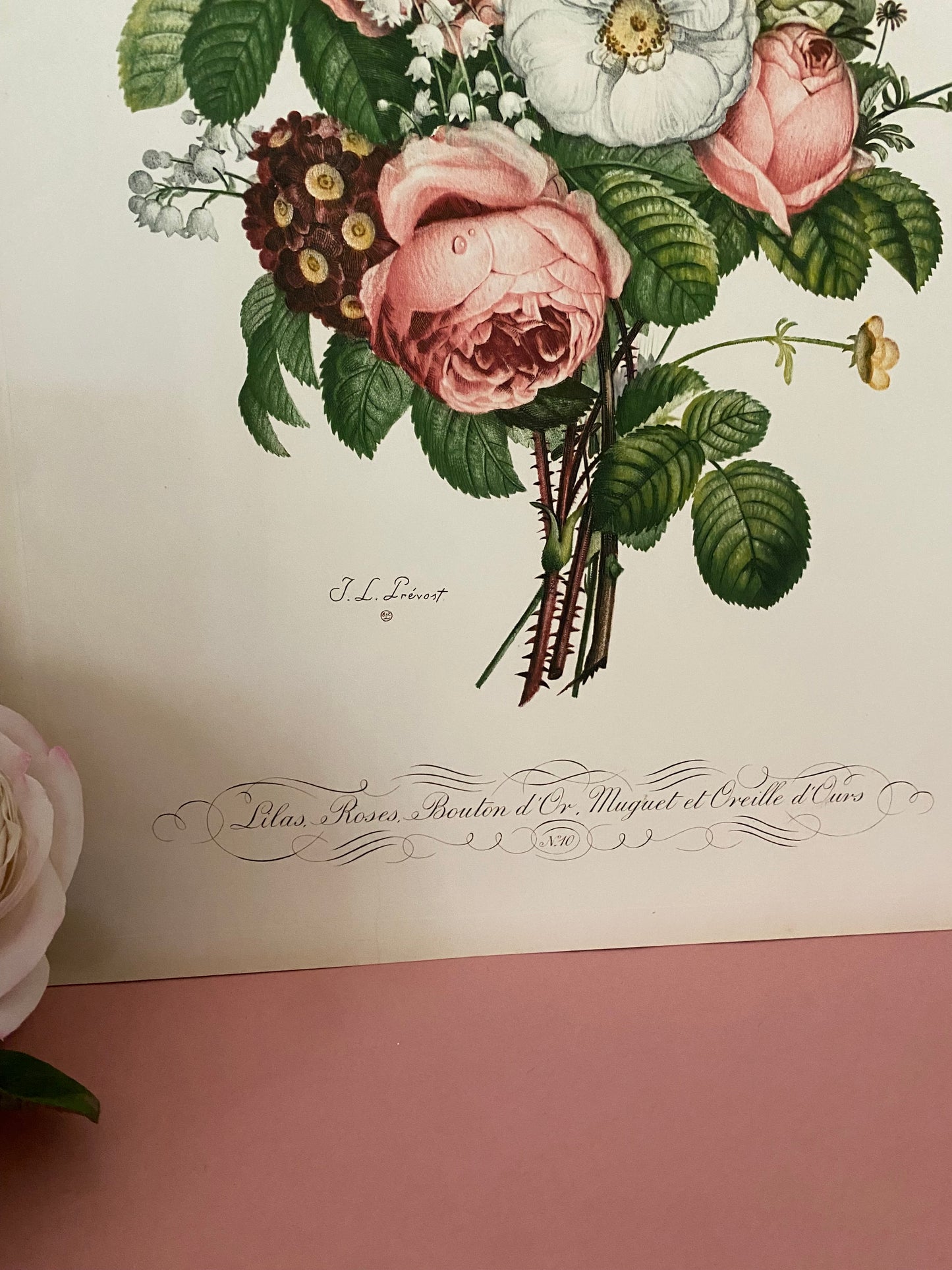 Antique French Pink Rose Lilac Bouquet Etching Fleurs No.10