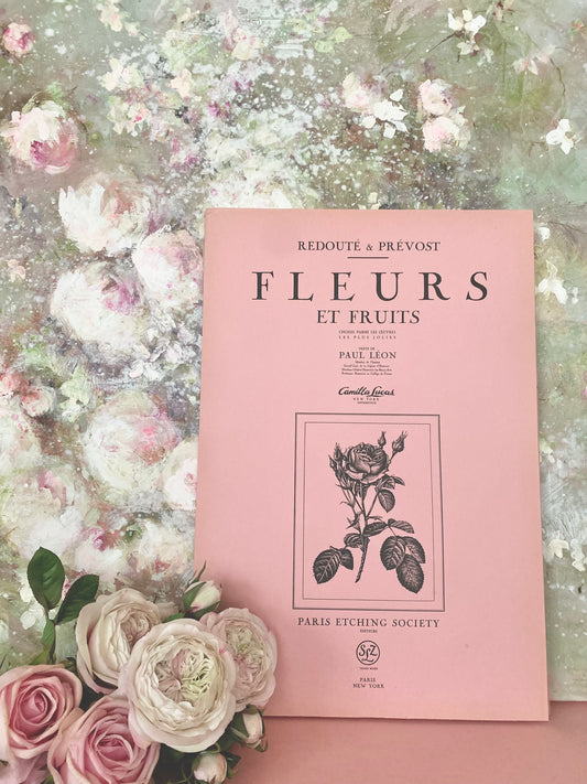 Antique French Pink Rose "Fleurs et Fruits" Portfolio of 12 Etchings