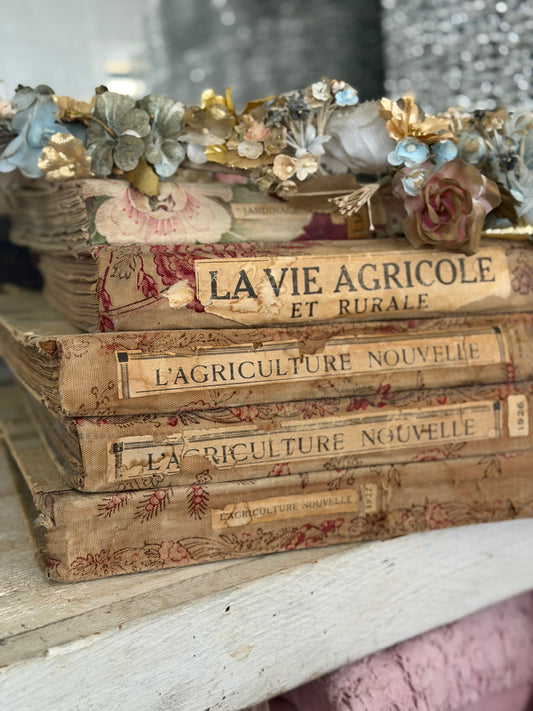 Antique French Fabric Bound Book