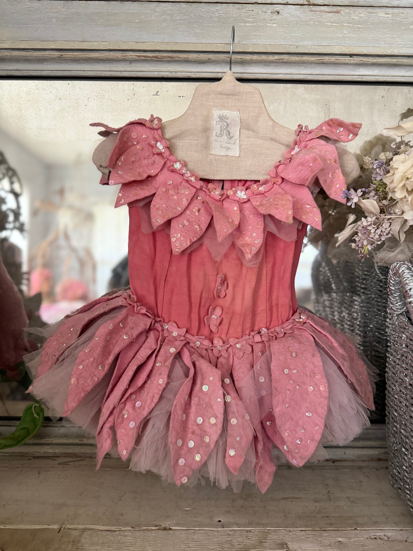RARE Victorian Opera Wizard Of Oz Ballet Tutu Costume