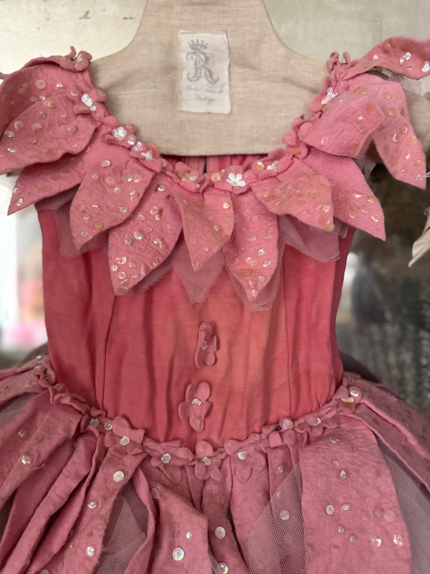 RARE Victorian Opera Wizard Of Oz Ballet Tutu Costume