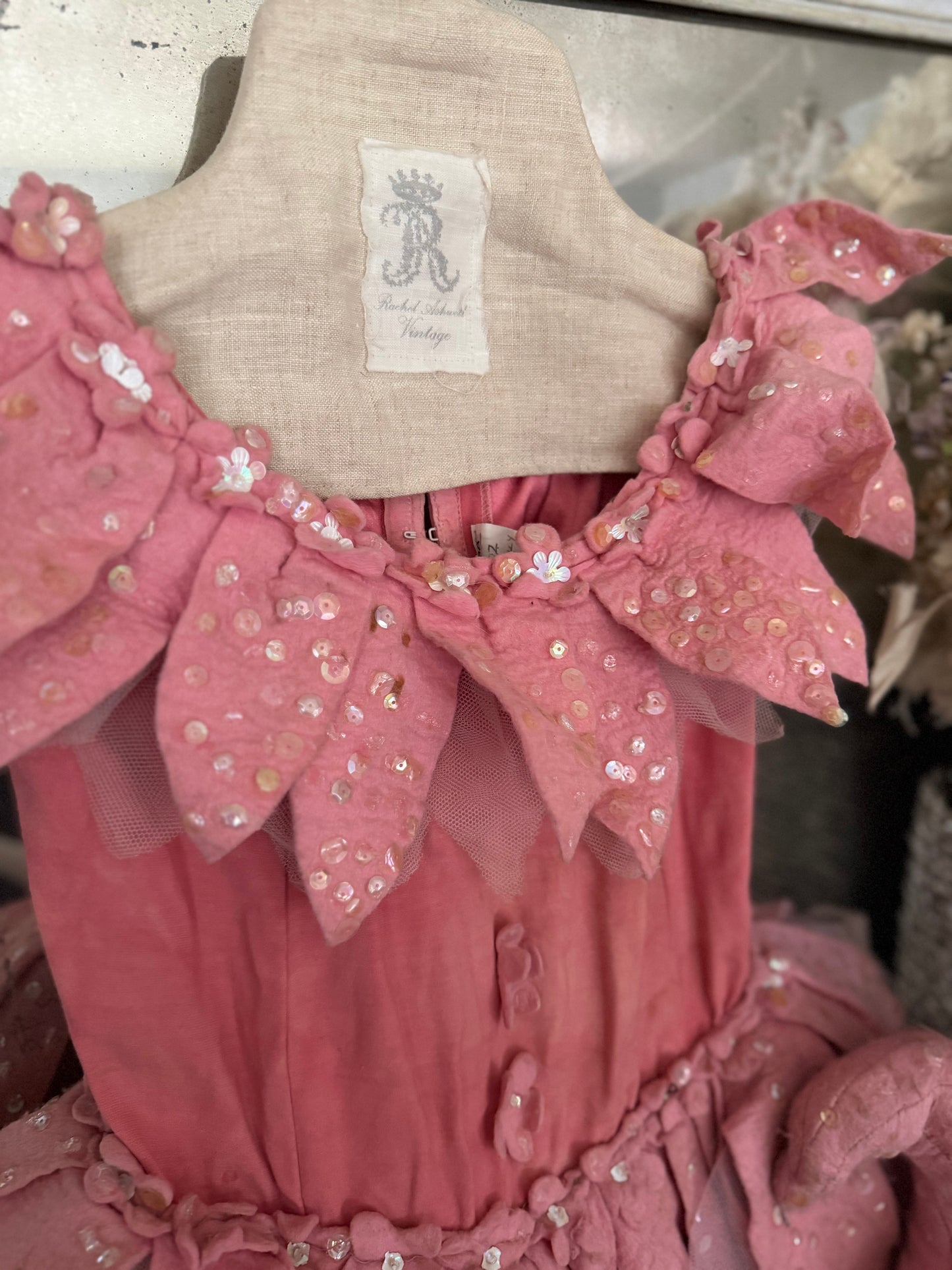 RARE Victorian Opera Wizard Of Oz Ballet Tutu Costume