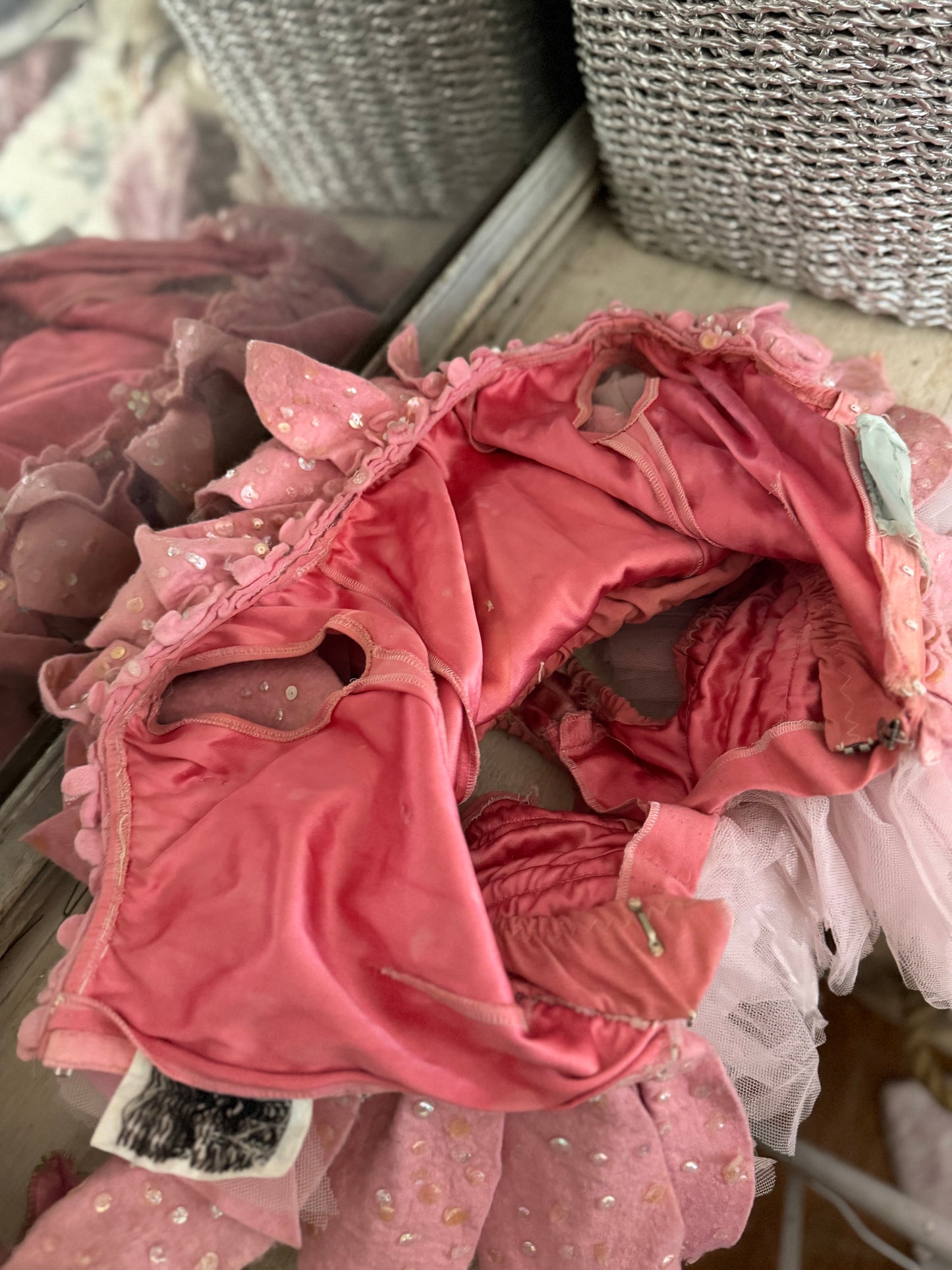 RARE Victorian Opera Wizard Of Oz Ballet Tutu Costume