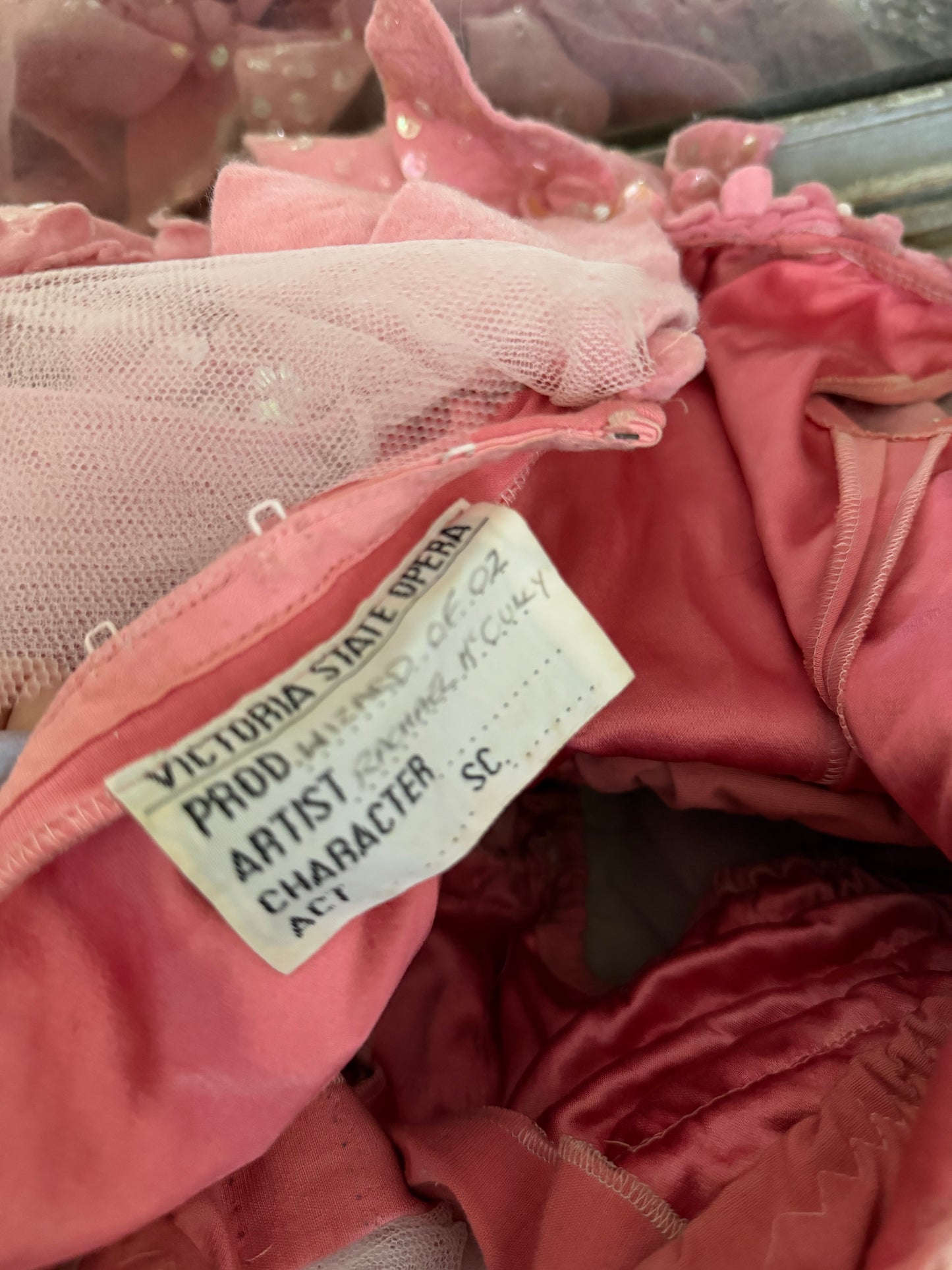 RARE Victorian Opera Wizard Of Oz Ballet Tutu Costume