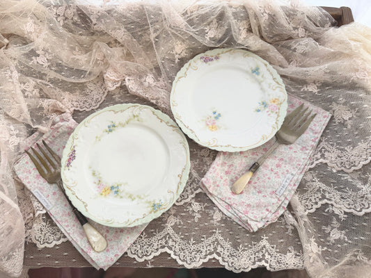 Collection 2 Antique Limoges France Mint Green Hand Painted Floral Plates