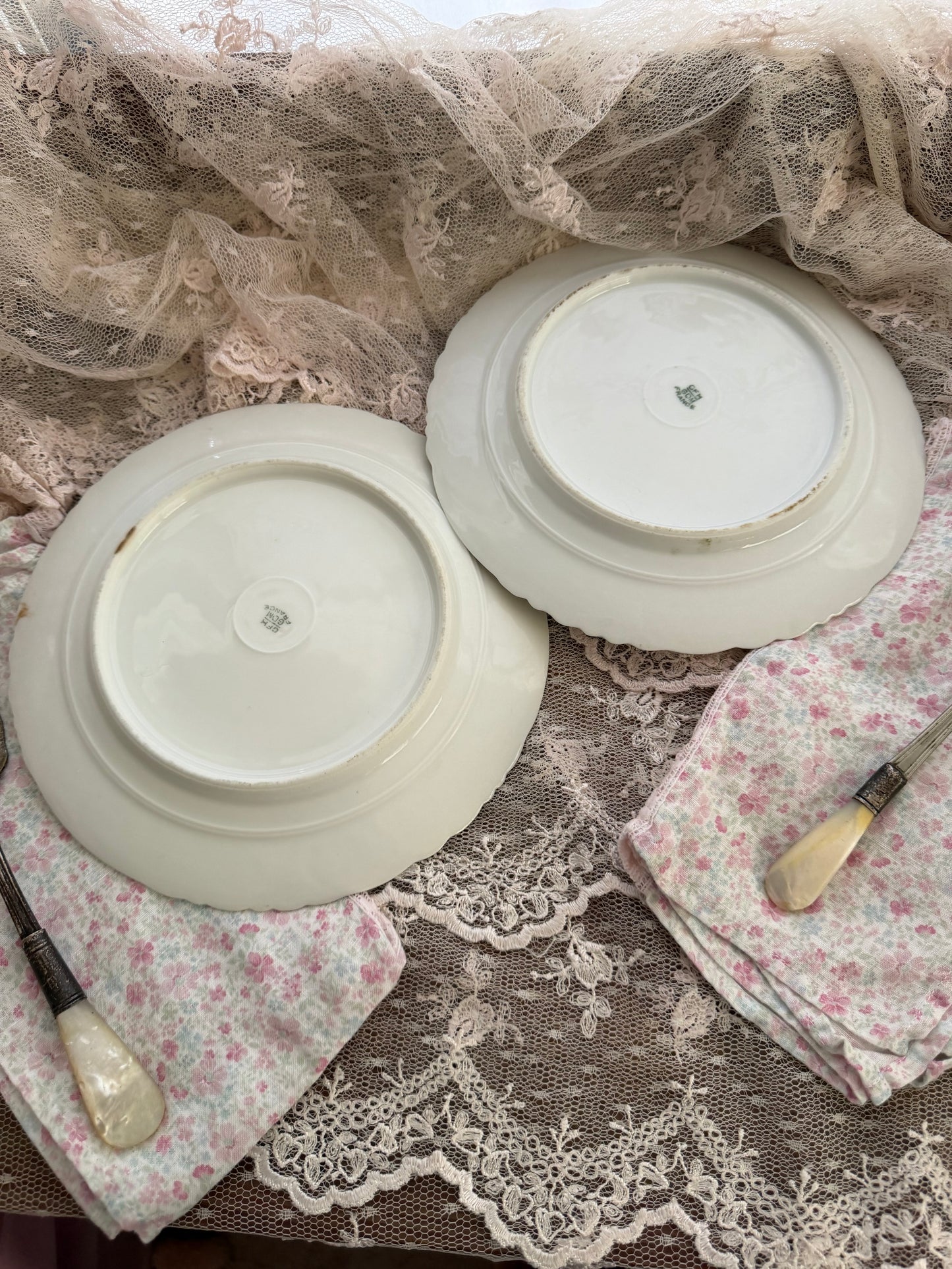 Collection 2 Antique Limoges France Mint Green Hand Painted Floral Plates